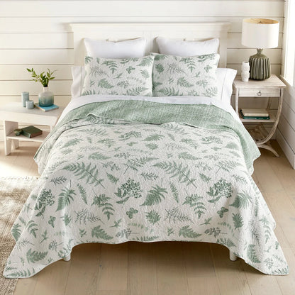 Donna Sharp Botanical Cotton Quilt Set