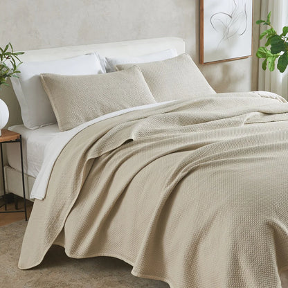 Linery & Co. Soft Stonewashed Stitched Lightweight Quilt Set